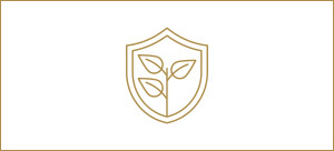 Ethically Sourced Tea and Coffee Motley Brew