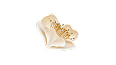 Brew Insights Image